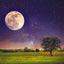 Broschürenkalender Mond 2025, 30 x 30 cm