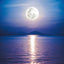 Broschürenkalender Mond 2025, 30 x 30 cm
