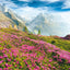 Broschürenkalender Alpen 2025, 30 x 30 cm