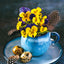 Broschürenkalender Blumen 2025, 30 x 30 cm