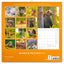 Broschürenkalender Tiere des Waldes 2025, 30 x 30 cm
