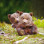 Broschürenkalender Tierbabies 2025, 30 x 30 cm