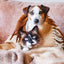 Broschürenkalender Tierbabies 2025, 30 x 30 cm