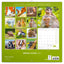 Broschürenkalender Tierbabies 2025, 30 x 30 cm