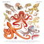 Animalium Broschürenkalender 2025, 30 x 30 cm