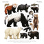 Animalium Broschürenkalender 2025, 30 x 30 cm