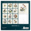 Broschürenkalender Vögel 2025, 30 x 30 cm