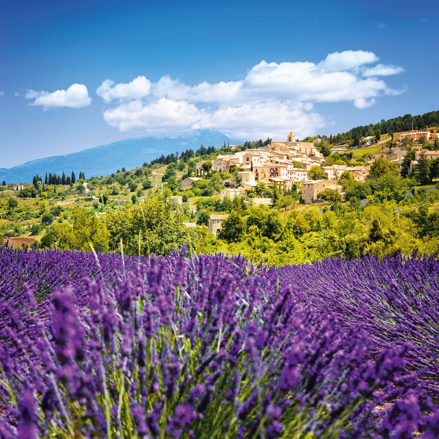 Broschürenkalender Provence 2026, 30 x 30 cm