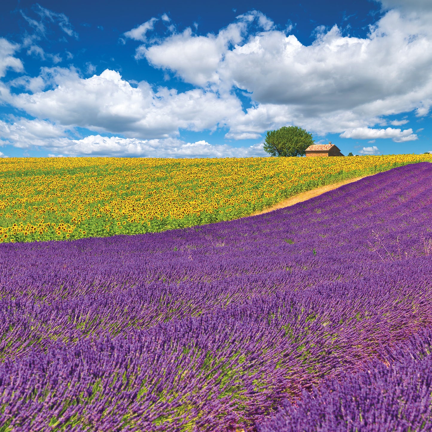 Broschürenkalender Provence 2026, 30 x 30 cm