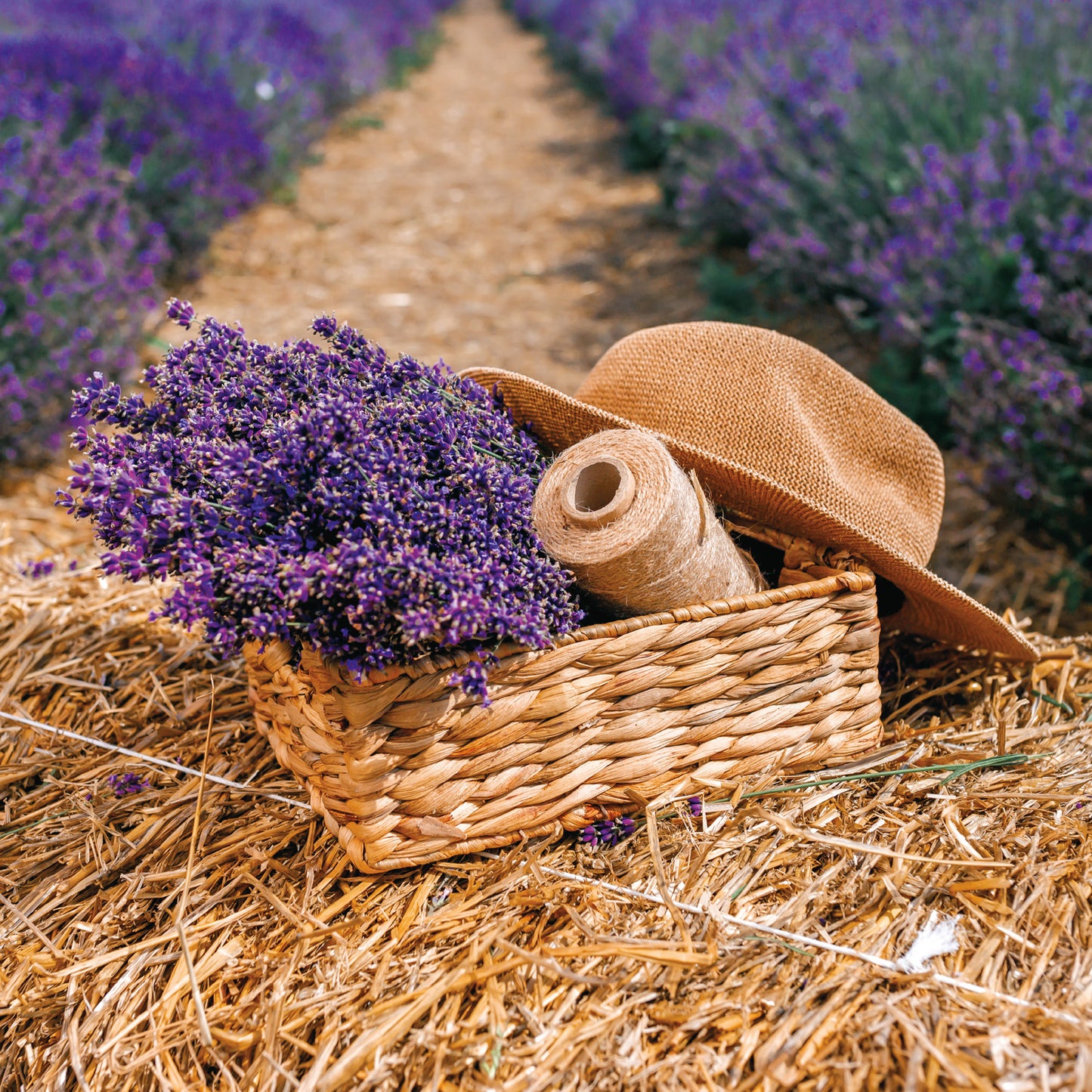 Broschürenkalender Provence 2026, 30 x 30 cm