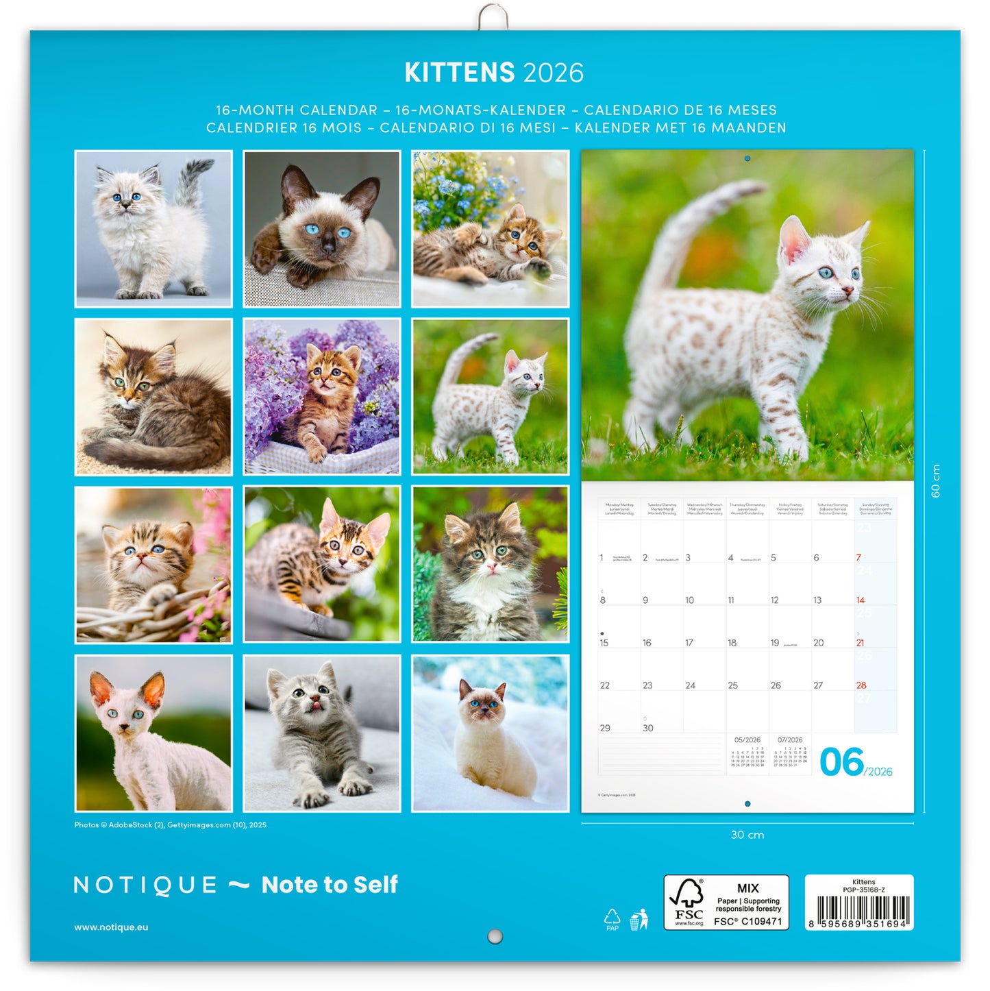Broschürenkalender Kätzchen 2026, 30 x 30 cm