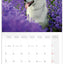 Broschürenkalender Hunde 2026, 30 x 30 cm