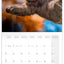 Broschürenkalender Bitte lächeln 2026, 30 x 30 cm
