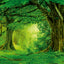 Broschürenkalender Regenwälder 2026, 30 x 30 cm