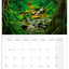 Broschürenkalender Regenwälder 2026, 30 x 30 cm