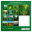 Broschürenkalender Regenwälder 2026, 30 x 30 cm