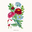 Broschürenkalender Herbarium 2026, 30 x 30 cm