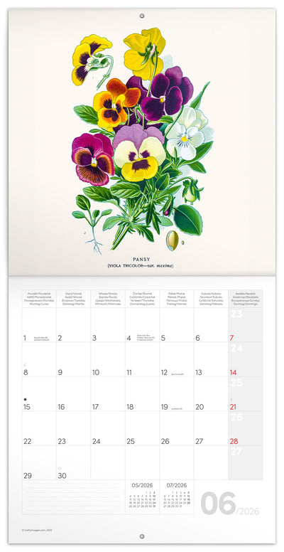 Broschürenkalender Herbarium 2026, 30 x 30 cm