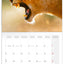 Broschürenkalender Wilde Tiere 2026, 30 x 30 cm