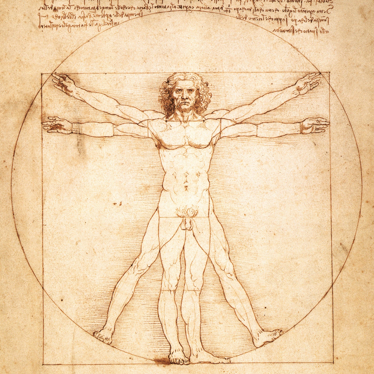 Broschürenkalender Leonardo da Vinci 2026, 30 x 30 cm