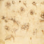 Broschürenkalender Leonardo da Vinci 2026, 30 x 30 cm