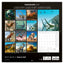 Broschürenkalender Dinosaurs 2027, 30 x 30 cm