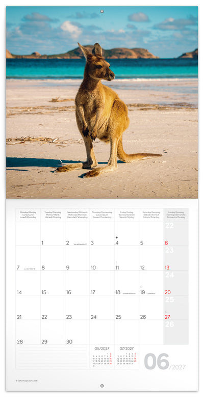 Broschürenkalender Wild Animals 2027, 30 x 30 cm