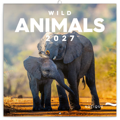 Broschürenkalender Wild Animals 2027, 30 x 30 cm
