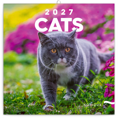 Broschürenkalender Cats 2027, 30 x 30 cm