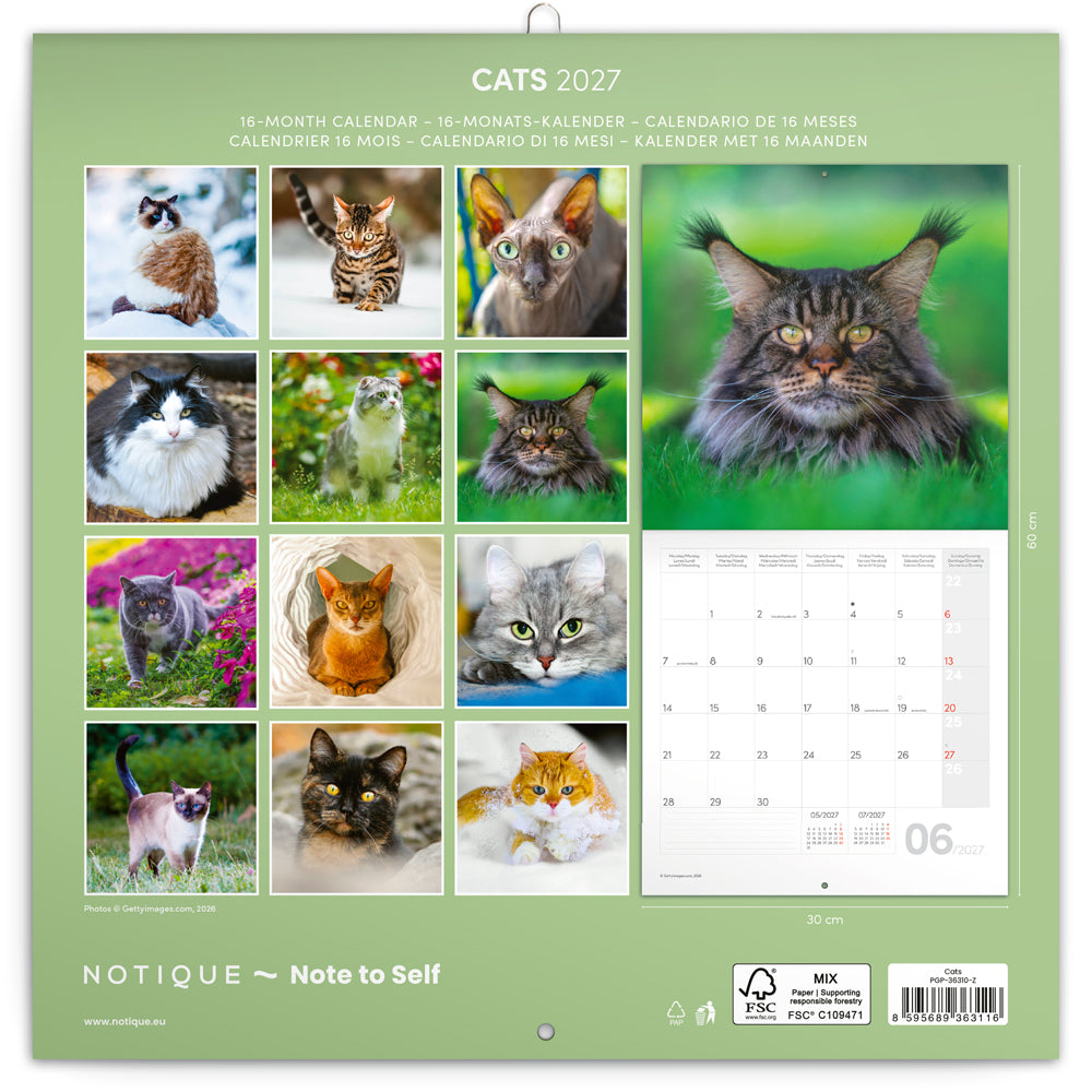 Broschürenkalender Cats 2027, 30 x 30 cm