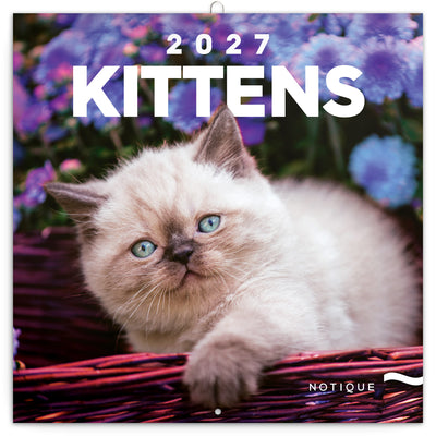 Broschürenkalender Kittens 2027, 30 x 30 cm