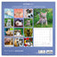 Broschürenkalender Kittens 2027, 30 x 30 cm