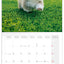 Broschürenkalender Animal Cuties 2027, 30 x 30 cm