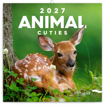 Broschürenkalender Animal Cuties 2027, 30 x 30 cm