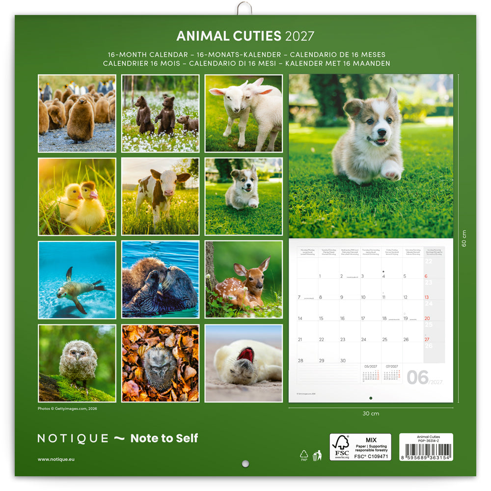 Broschürenkalender Animal Cuties 2027, 30 x 30 cm