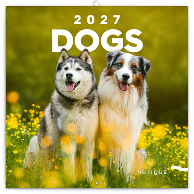 Broschürenkalender Dogs 2027, 30 x 30 cm