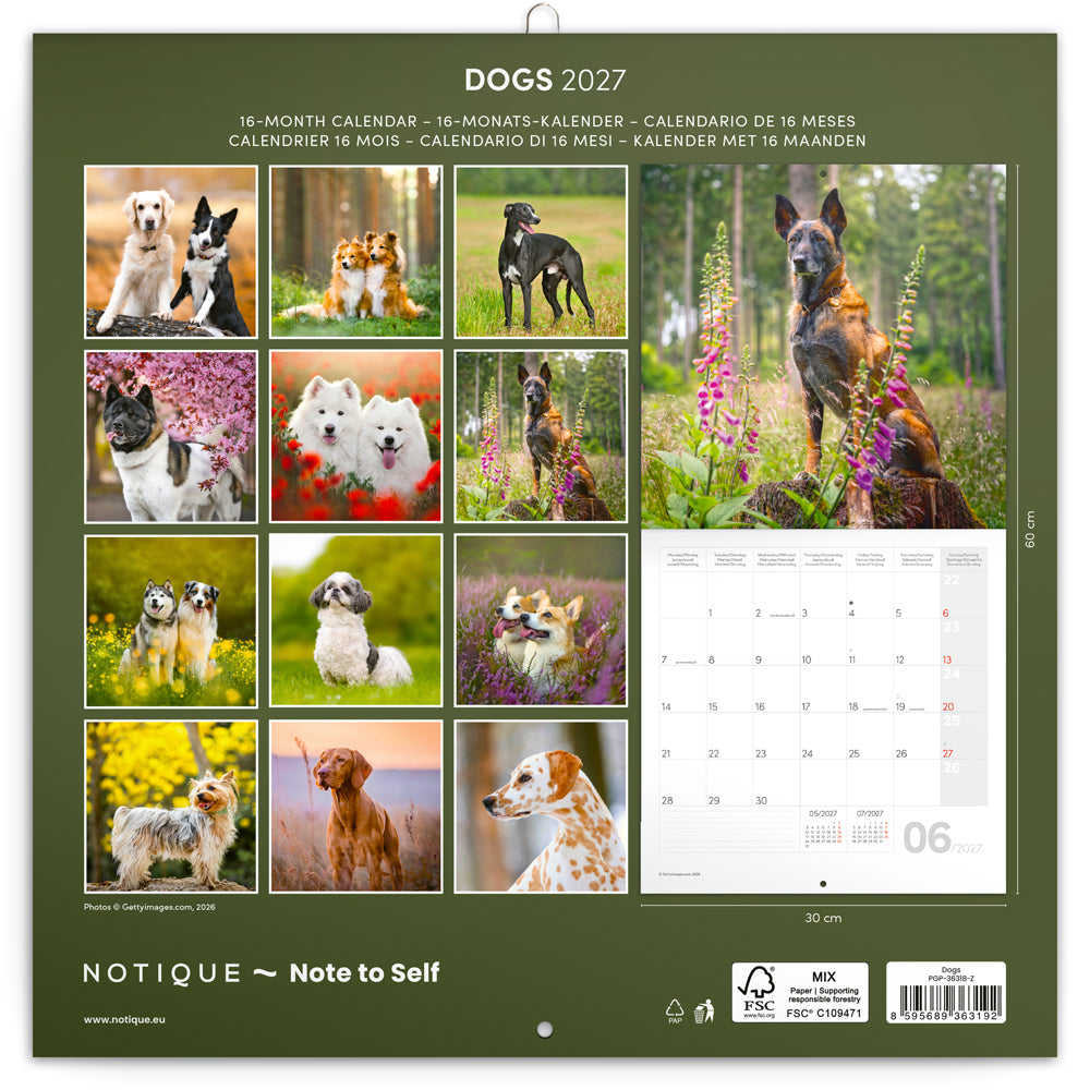Broschürenkalender Dogs 2027, 30 x 30 cm