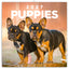 Broschürenkalender Puppies 2027, 30 x 30 cm