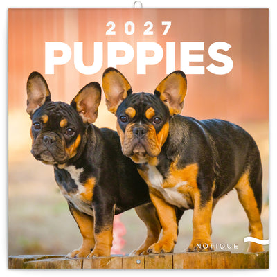 Broschürenkalender Puppies 2027, 30 x 30 cm