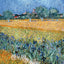 Broschürenkalender Vincent van Gogh 2027, 30 x 30 cm