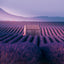 Broschürenkalender Provence 2027, 30 x 30 cm