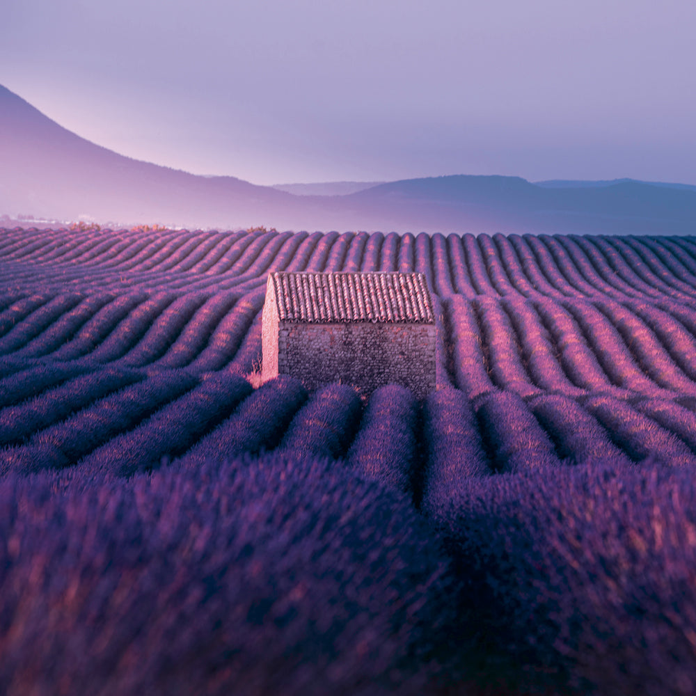 Broschürenkalender Provence 2027, 30 x 30 cm