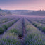 Broschürenkalender Provence 2027, 30 x 30 cm