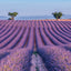 Broschürenkalender Provence 2027, 30 x 30 cm