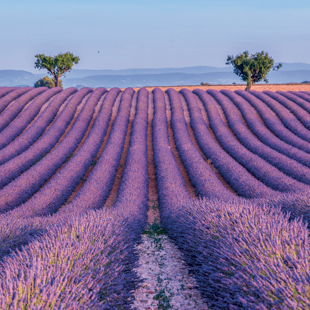 Broschürenkalender Provence 2027, 30 x 30 cm