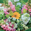 Broschürenkalender Flowers 2027, 30 x 30 cm