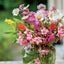 Broschürenkalender Flowers 2027, 30 x 30 cm