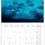 Broschürenkalender Aurora Borealis 2027, 30 x 30 cm