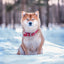 Broschürenkalender Happy Doge 2027, 30 x 30 cm