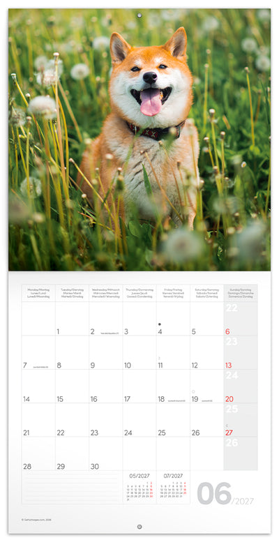Broschürenkalender Happy Doge 2027, 30 x 30 cm